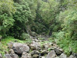 Visite de la petite cousine !